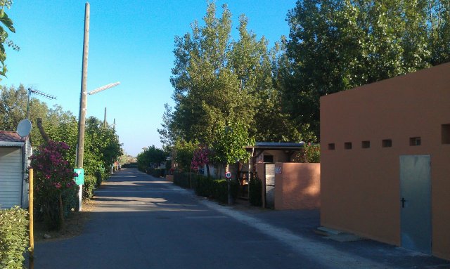 Allée principale niveau bloc I